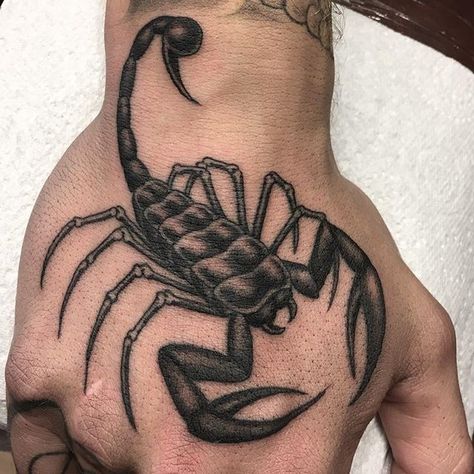 Scorpion And Spider Tattoo, Scorpion Zodiac Tattoo, Scorpion Hand Tattoo, Scorpions Zodiac, Arm Tattoos For Guys Forearm, Medieval Tattoo, Tattoo Practice, Scorpio Tattoo, Cool Arm Tattoos