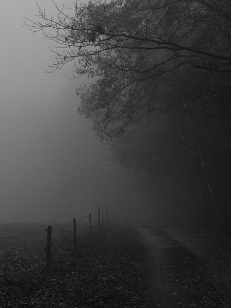 something something - Album on Imgur Foggy Road, Dark Naturalism, Photographie Portrait Inspiration, 다크 판타지, Have Inspiration, Gothic Aesthetic, Gray Aesthetic, Dark Places, Dark Photography