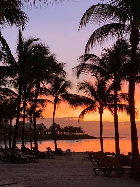 Beach Sunset Wallpaper, Palm Tree Sunset, Ibiza Spain, Scenery Pictures, Pretty Landscapes, Sunset Nature, Best Sunset, Sunset Wallpaper, Hawaii Beaches