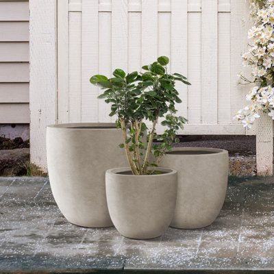 These elegant round planters have an authentic concrete finish with visible pores that make them beautiful contemporary pieces. The look and feel are true concrete but it weighs substantially less than it looks, making it easier to move around. It is smooth instead of the rough concrete potters you might be used to. The size is very generous and can hold a good amount of plants without looking crowded. Would look great on an apartment balcony or large backyard patio. Create a modern space using Round Planters, Planters Outdoor, Modern Planter, Plant Pot Decoration, Concrete Finish, Modern Landscape Design, Cement Pots, Tall Planters, Outdoor Planter