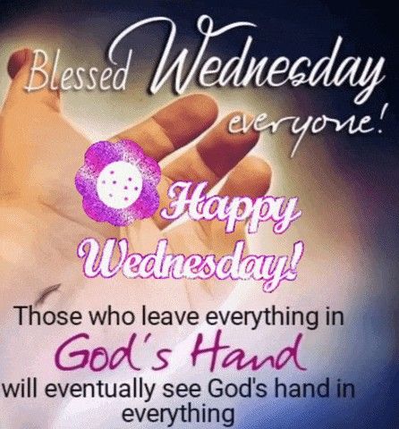 Bless Wednesday Inspiration, Wednesday Blessings Inspiration Prayer, Wednesday Blessings Gif, Good Morning Wednesday Gif, Happy Wednesday Morning Blessings, Wednesday Blessings And Prayers, Happy Blessed Wednesday, Happy Wednesday Gif, Wednesday Blessings Inspiration