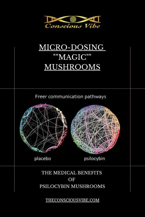 What Are the Medical Benefits of Psilocybin Mushrooms? #Lion's #mane #benefits Microdosing Psilocybin Benefits, Psilocybin Benefits, Lions Mane Benefits, Micro Dosing, Psilocybin Mushrooms, Mushroom Magic, Sacred Geometry Symbols, Plant Medicine, Lion's Mane