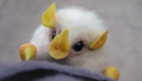 Strange-Looking Animals You Had No Idea Existed Honduran White Bat, Pokemon In Real Life, Cute Bats, Baby Bats, Cute Bat, Rare Animals, Creatures Of The Night, Cute Critters, Cotton Ball