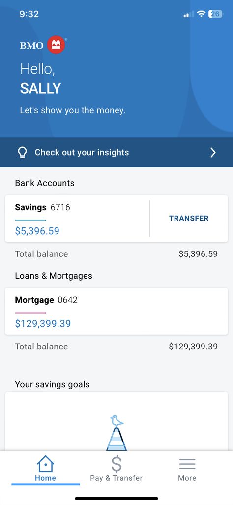 Bmo Bank Account, Usaa Bank Account Balance, Chase Bank Account, Bank Account Balance, Account Balance, Chase Bank, Checking Account, Bank Statement, Saving Goals