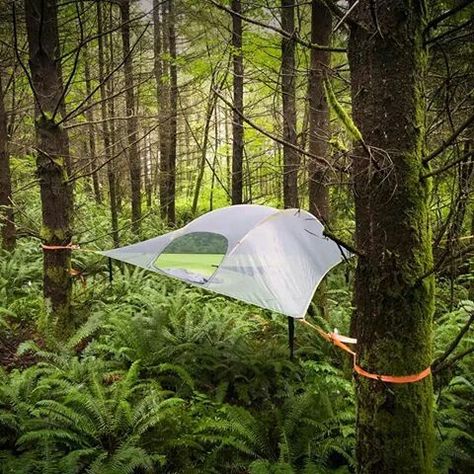 Forest Camping. Suspended Tent, Camp Lodge, Zelt Camping, Tree Tent, Tenda Camping, Hanging Tent, Tent Campers, Hammock Tent, Hanging Hammock