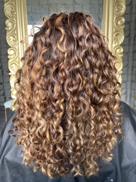 Caramel Highlights Curly, Caramel Highlights Curly Hair, Blonde Highlights Curly Hair, Highlights Curly, Dyed Curly Hair, Natural Curly Hair Cuts, Highlights Curly Hair, Honey Brown Hair, Brown Curly Hair