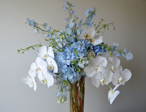 Light Blue Orchids, Blue Orchid Centerpieces Wedding, Blue Orchid Arrangements, White Hydrangea With Blue Delphinium, Blue And White Hydrangea Arrangements, Blue Delphinium Wedding Bouquet, Blue Hydrangea Bouquet Aesthetic, Blue White Floral Arrangements, Orchid Hydrangea Bouquet