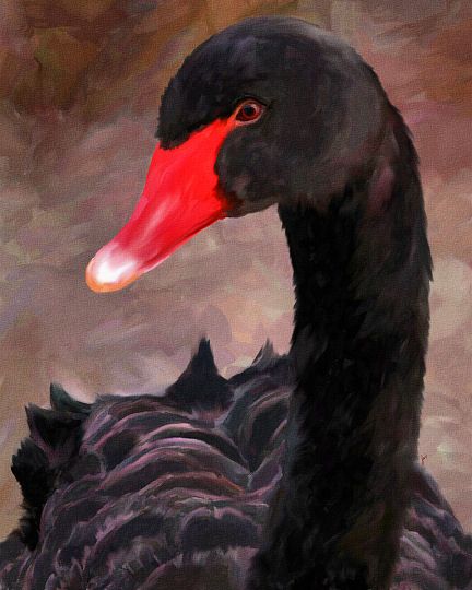 swan paintings | Black Swan Painting Black Swan Painting, Swan Paintings, Black Swan Art, Swan Artwork, Swan Art, Swan Painting, Swans Art, Art Trading Cards, Fruit Painting