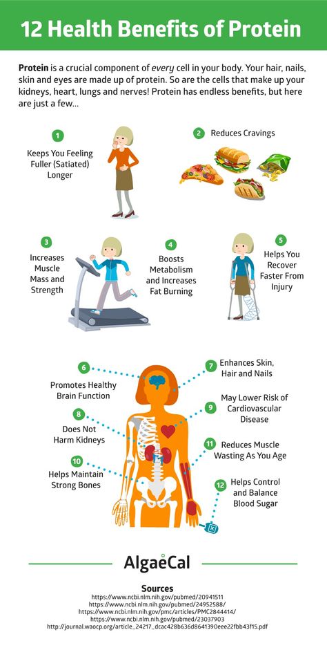 Benefits Of Protein, Protein Benefits, The Skeletal System, Skeletal System, Strong Bones, 140 Pounds, Bone Density, Bone Health, Happy Healthy