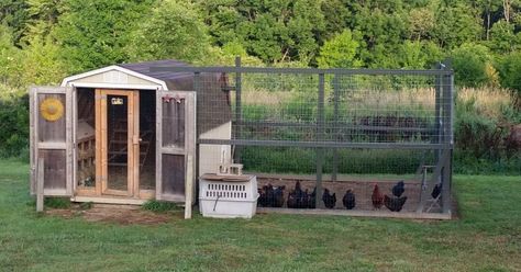 Before you invest in an expensive chicken coop, see what you have that you can convert into a chicken coop first. Your DIY guide on how to make use of what you have on hand. Save money and convert a shed into a full chicken coop. A step by step guide on setting up a coop for your hens. #raisingchickens #chickens #backyardchickens Chicken Coop Kit, Urban Chicken Farming, Portable Chicken Coop, Urban Chickens, Country Gal, Coop Design, Best Chicken Coop, Chicken Coop Designs, Coop Plans