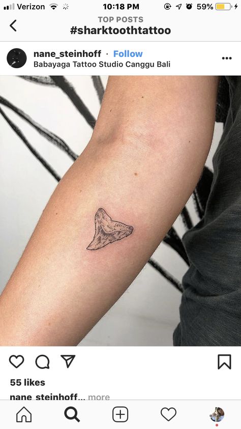 Fine Line Shark Tooth Tattoo, Obx Tattoos, Jaws Tattoo, Shark Jaws Tattoo, Skin Doodles, Tattoo On Ribs, Tattoo Shark, Ink Poisoning, Shark Tooth Tattoo