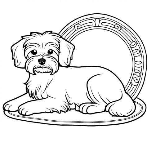 Husky Coloring Page, Maltese Dog, Maltese Dogs, Maltese, Coloring Page, Husky, Coloring Pages, Dogs, Color