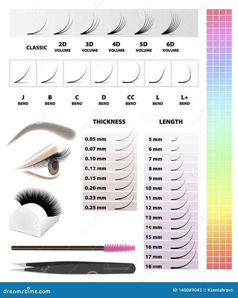 Eyelash Extension, Infographic Table, Vector Illustration Stock Vector - Illustration of classification, look: 145089045 Table Vector, Lashes Tutorial, Eyelash Extension, Bending, Eyelash Extensions, Vector Art, Eyelashes, Stock Illustration, Stock Vector