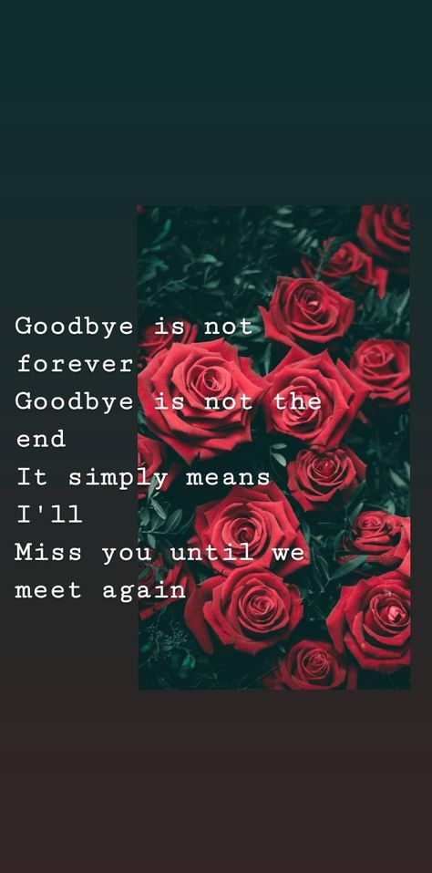 Goodbye Until We Meet Again, Not A Goodbye But See You Later Quotes, Will I Ever See You Again Quotes, It’s Not Goodbye Its See You Later, When I See You Again, You Will Be Missed, We Will Meet Again Quotes, Until We Meet Again Tattoo, Meet Again Quotes