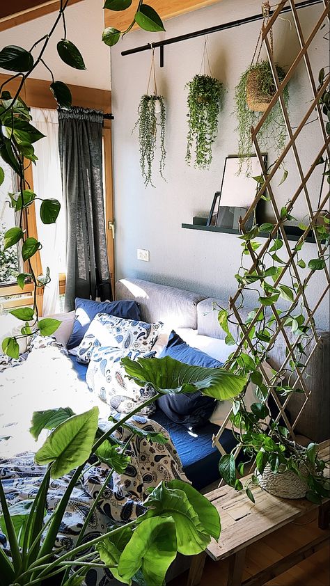 Plants Master Bed, Plant Shelves Above Bed, Plants Above Headboard, Hanging Plants Above Bed, Blue Bedroom With Plants, Blue Room With Plants, Plant Shelf Over Bed, Plants Over Bed, Plants Above Bed