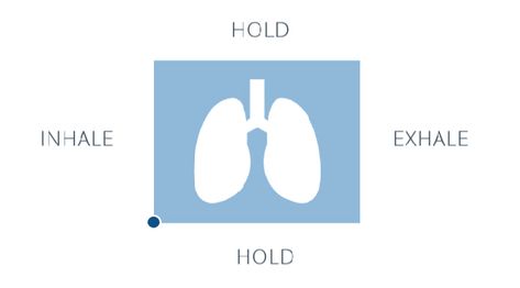 tactical breathing and military breathing technique Ooda Loop, Breathing Gif, Box Breathing, Can Not Sleep, Reduce Tension, Survival Shelter, Urban Survival, Tactical Survival, Inhale Exhale