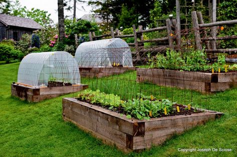 10 Stunning Landscape Ideas for a Sloped Yard | How To Build It Tiered Gardens, Vegetable Garden Beds, Raised Vegetable Gardens, Sloped Yard, Hillside Garden, Vegetable Garden Raised Beds, Sloped Backyard, Gardening Projects, Plants Growing