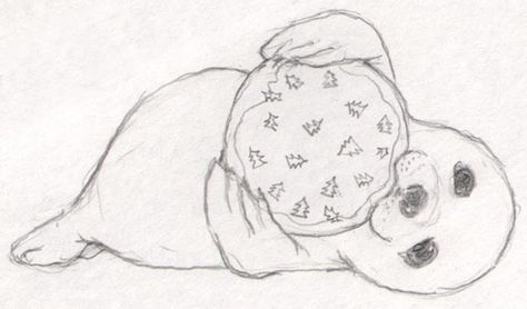 Baby Seal Drawing, Cute Seal Drawing, Seal Sketch, Seal Drawing, Enchanted Animals, Animals Sketches, Animal Sketches Easy, Baby Animal Drawings, Cute Seals