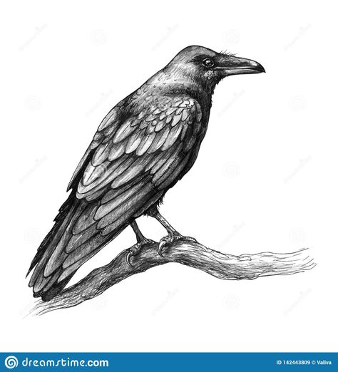 Art Painting Tattoo, Rabe Tattoo, Tattoo Care Instructions, Crow Silhouette, Crows Drawing, Realistic Temporary Tattoos, Raven Bird, Crow Tattoo, Crows And Ravens