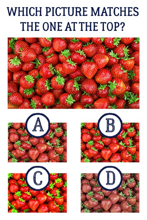 We’ve got some super fun, yet challenging pictures to test your vision to the max! #eyes #color #test #challenge #vision #colorvision #colorblindness #strawberries Colorblind Test Love, Colorblind Vision, Colourblind Test, Colour Blind Test, Colorblind Test, Eye Vision Test, Eye Color Test, Color Blind Test, Eye Tests