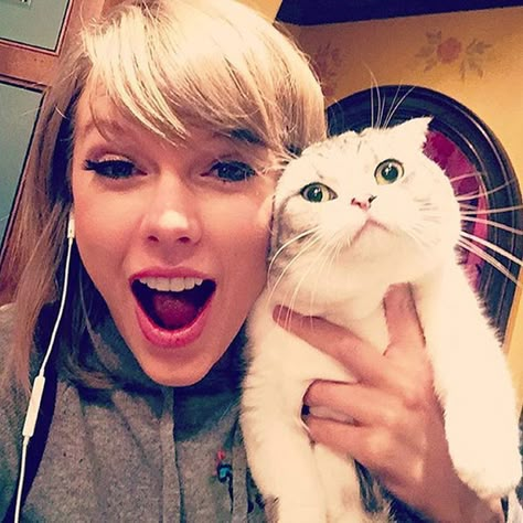 Taylor Swift Being Cute, Taylor Swift Selfie, Taylor Swift Cats, Taylor Swift Instagram, Taylor Swifr, Taylor Swift 2014, Cute Taylor Swift, Taylor Swift Top, Taylor Swift Fotos