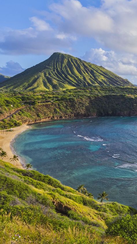 Hawaii Mountains, Cute Backrounds, Oahu Vacation, Hanauma Bay, Mountain Wallpaper, Hawaii Usa, Nature Preserve, Honolulu Hawaii, Honolulu