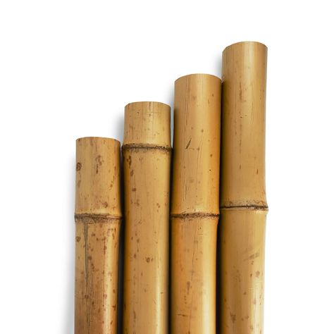 Natural Bamboo Poles | UK Bamboo Bamboo Decking, Golden Bamboo, Bamboo Poles, Fawn Colour, Bamboo Board, Curtain Pole, Bamboo Fence, Bamboo Crafts, Bamboo Wall