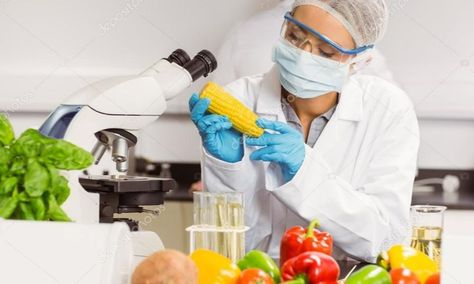 Food Product Development, Food Sampling, Food Safety Training, Canada Food, Safety Management System, Food Technology, Food Scientist, Hygienic Food, Corn On Cob