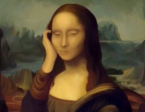 Monalisa Picture, Funny Face Photo, Call Of Duty Ghosts, Girl M, Funny Animal Jokes, Meme Template, Animal Jokes, Cute Illustration, Funny Faces