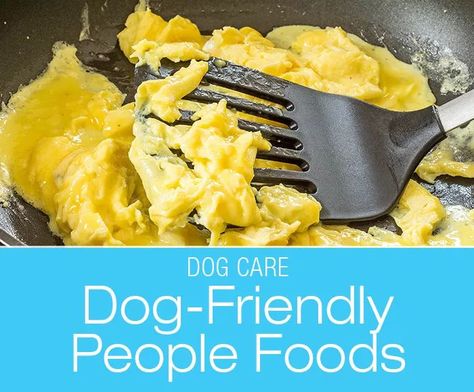 Dog-Friendly People Foods: Can I Give My Dog Scrambled Eggs? Dog Food Breakfast Recipes, Dog Breakfast Ideas, Breakfast Ideas For Dogs, Leftover Egg Yolks Recipes, Puppy Pampering, Eggs For Dogs, Can Dogs Eat Eggs, Oreo Food, Dog Breakfast