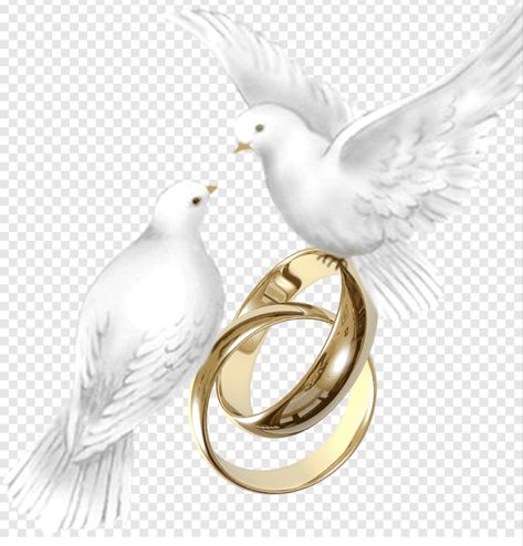 Wedding Ring Png, Free Invitation Cards, Engagement Photo Props, Birthday Background Design, Wedding Artwork, Silhouette Cake Topper, Wedding Doves, Silhouette Cake, Wedding Background Images