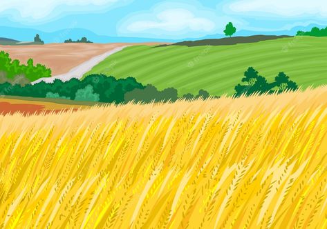 Wheat Field Illustration, Prairie Illustration, Fields Drawing, Field Illustration, Landscape Vector Illustration, Landscape Vector, Field Landscape, Bakery Packaging, Wheat Field