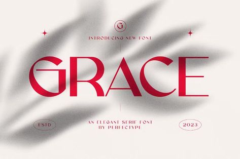 Font Trends 2024: Creativity, Elegance & Usability Font Branding, Font Cute, Trending Fonts, Cute Font, Note Fonts, Elegant Logo Design, Kid Fonts, Modern Serif Fonts, Cute Fonts