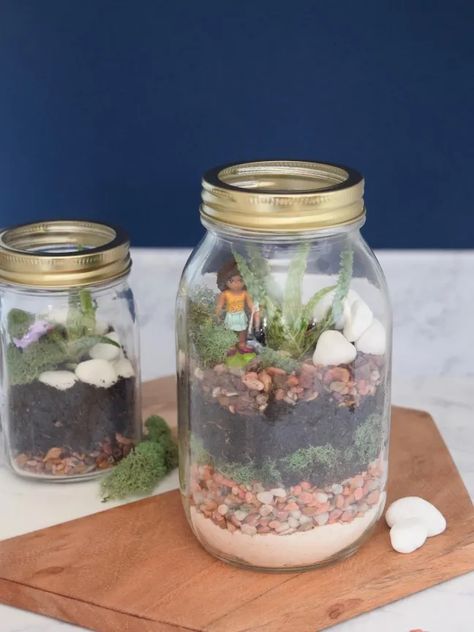 DIY Kid-Friendly Mason Jar Terrariums Diy Vivarium, Plant Based Aesthetic, Jar Plants, Plant Art Drawing, Planting Drawing, Diy Terrariums, Plant Room Aesthetic, Mason Jar Plants, Mason Jar Succulents