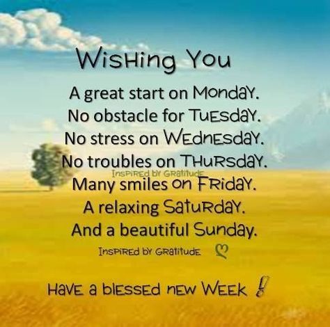 Wishing You A Great Start On Monday, Have A Blessed New Week! monday monday quotes monday pictures monday images New Week Quotes, Funny Good Morning, Funny Good Morning Images, Have A Blessed Week, Sunday Morning Quotes, Blessed Week, Now Quotes, Weekday Quotes, Weekend Quotes