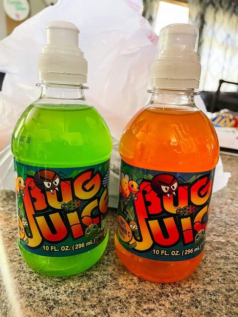 Bug Juice Aesthetic, 2000 Nostalgia, Bug Juice, Tattoo Apprenticeship, Playlist Covers, Gatorade Bottle, Fun Drinks, Drink Bottles, Dish Soap Bottle