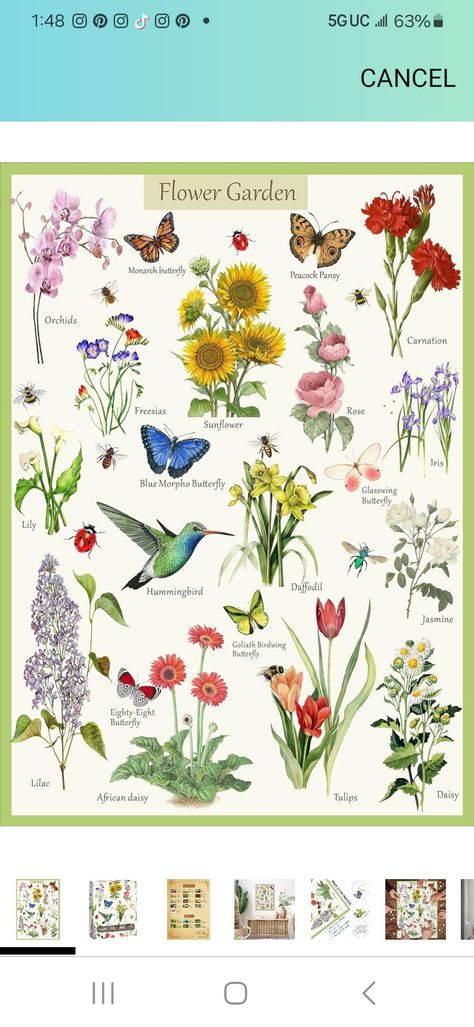 Common Flowers, Butterfly Puzzle, Flower Puzzles, Sunflowers And Roses, Puzzles For Adults, Colorful Birds, Dream Garden, Garden Planning, Cut Flowers