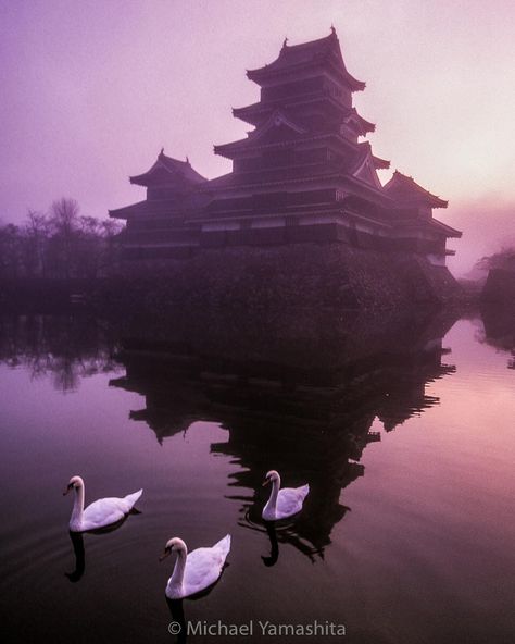 See this Instagram photo by @thephotosociety • 21.7k likes Matsumoto Castle, Samurai Japan, Shades Of Violet, Japan Aesthetic, Samurai Art, Japan Photo, Black Exterior, Jolie Photo, Amazing Places