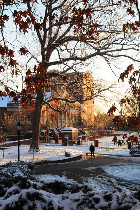 College Gothic, Canada College, Hamilton College, Campus Aesthetic, Winter Semester, Davidson College, University Aesthetic, College Vision Board, Story Aesthetic