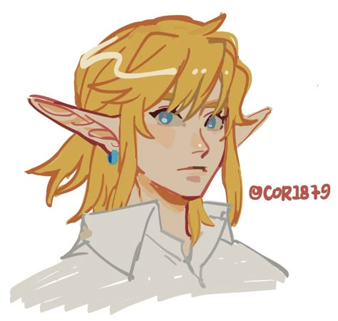 Link Inspired Haircut, Linked Universe, Evil Demons, Link Zelda, Zelda Art, Legend Of Zelda Breath, Zelda Breath, Twilight Princess, Hair Reference