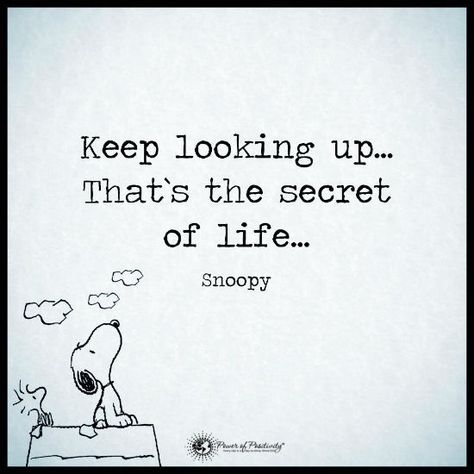 Looking Up Quotes, Secret Of Life, Keep Looking Up, Look Up Quotes, Snoopy Quotes, Up Quotes, Motivational Thoughts, Short Inspirational Quotes, Power Of Positivity