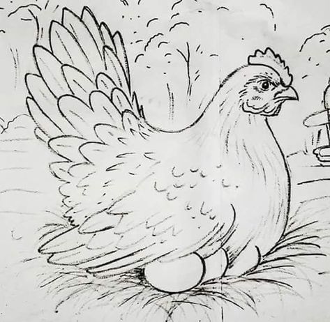 Chicken Drawing Easy, Chicken Sketch, Rooster Stencil, Chicken Coloring Pages, Chicken Drawing, Chicken Coloring, Rooster Painting, Chicken Painting, Rooster Art