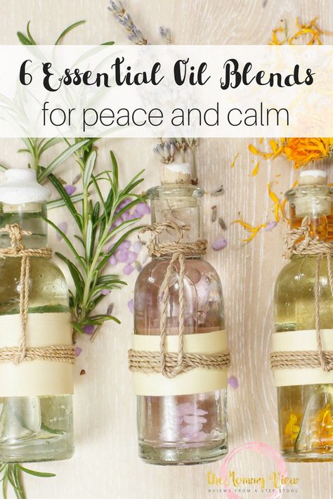 Here is a list of 6 essential oil blends for peace and calm. These blends work quickly to invoke feelings of peaceful relaxation while clearing your mind. Must Have Essential Oils, House Management, What Is Asthma, Peace And Calm, Calming Essential Oils, Using Essential Oils, Spring Fun, Natural Parenting, Natural Cleaners