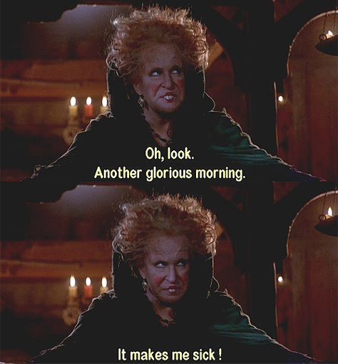 "Oh look. Another glorious morning. It makes me sick!" -Hocus Pocus SISTAAAS! Hahaha.. Hocus Pocus Another Glorious Morning, Hocus Pocus Memes Humor, What A Glorious Morning Hocus Pocus, Hocus Pocus Movie Quotes, Oh Look Another Glorious Morning Quote, Hocus Pocus Meme, Another Glorious Morning Hocus Pocus, Hocus Pocus Quotes, Hocus Pocus 1993