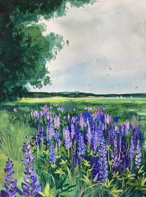 Sumer Landscape, Dragon Mother, Plant Paintings, Gauche Painting, Lupine Flowers, Camden Maine, Acrylic Flower Painting, Colour Flowers, Forest Watercolor