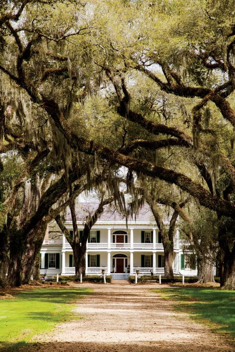 Old Southern Homes, Southern Humor, Louisiana Plantations, Southern Mansions, Southern Architecture, Southern Plantations, Vintage Homes, Antebellum Homes, Genius Loci