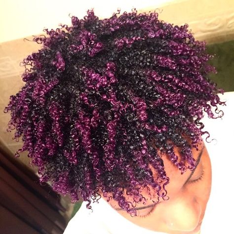 Colored Afro, Dark Purple On Curly Hair, Curly Hair Dye Purple, Deep Purple Curly Hair, Natural Curly Purple Hair, Dyed Afro Hair 4c Purple, Purple Natural Hair, Extreme Hair Colors, Warm Brown Hair