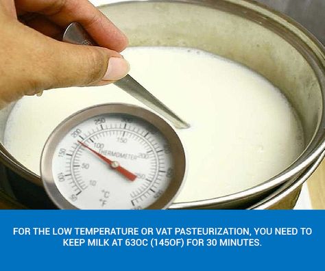 Methods, Time and Temperature for Pasteurizing Milk - Milky Day Blog How To Steam Milk, Goat Milk Recipes, Electric Ice Cream Maker, Temperature Chart, Kitchen Thermometer, Bacterial Diseases, Pasteurizing Milk, Cooking Thermometer, Warm Milk