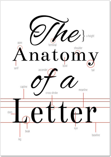 The Anatomy of a Letter, free typography printable Letter Anatomy Typography, Typography Worksheet, Letter Anatomy, Anatomy Of Typography, Typography Reference, Free Typography, Type Anatomy, Beautiful Letters, Writing Fonts