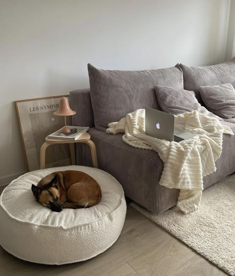 Gray And Tan Aesthetic, Minimalistic Dog Bed, Dog Bed In Living Room Ideas, Dog Beds In Living Room, Dog Bed Living Room Ideas, Minimalist Dog Bed, Dog In House Aesthetic, Dog Apartment Aesthetic, Dog Corner Aesthetic